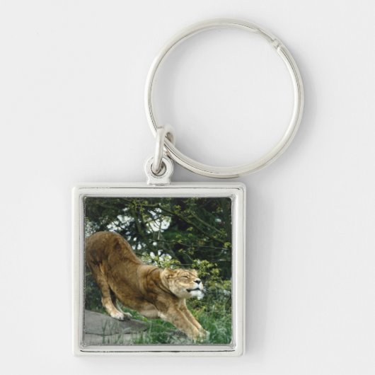 24114343 キーホルダー (正面)