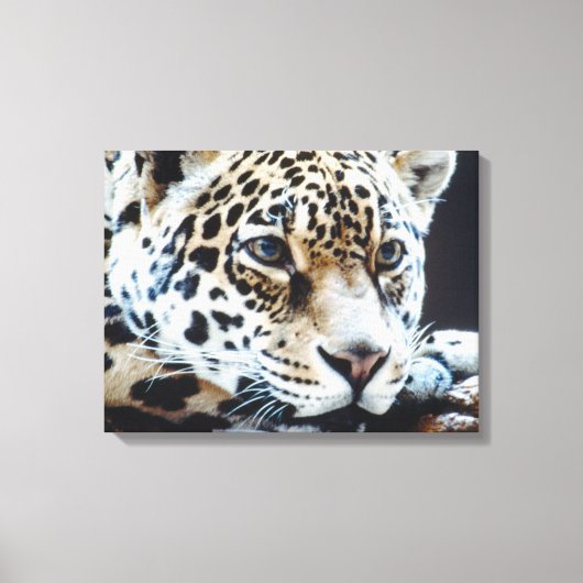 24114363 キャンバスプリント (正面)