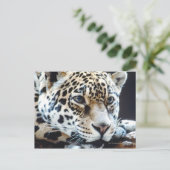 24114363 ポストカード (スタンド正面)