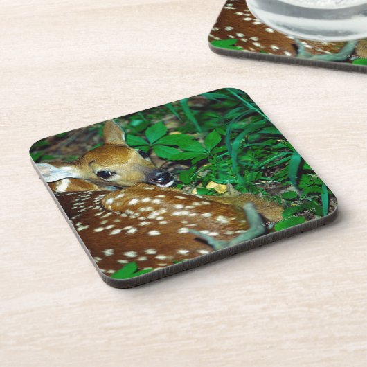 24114390 コースター (左側)