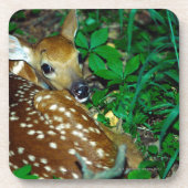 24114390 コースター (正面)