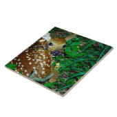 24114390 タイル (側面)