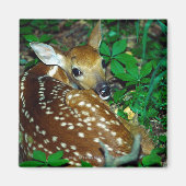 24114390 マグネット (正面)