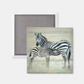 24114480 マグネット (正面/裏面)