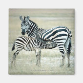 24114480 マグネット (正面)