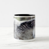 24114488 ツートーンマグカップ (中央)