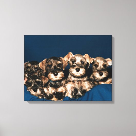 24117057 キャンバスプリント (正面)