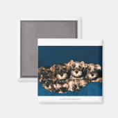 24117057 マグネット (正面/裏面)