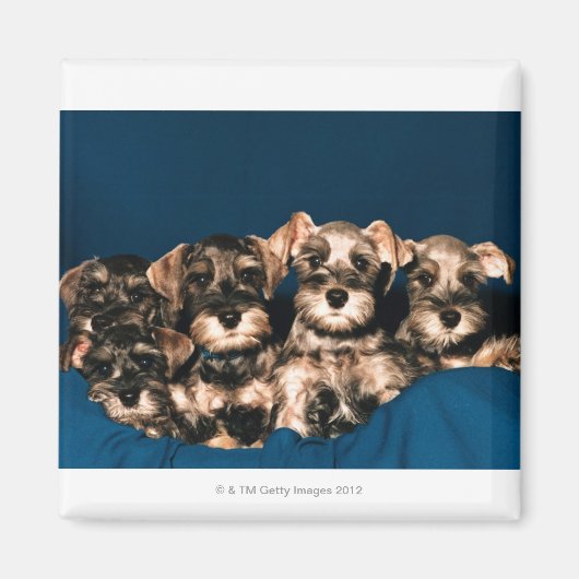 24117057 マグネット (正面)