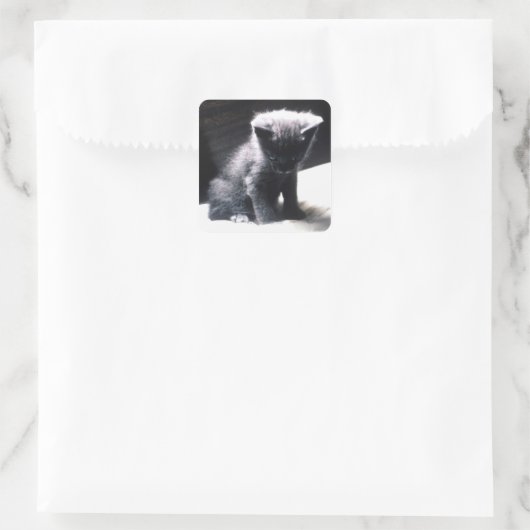 24117556 スクエアシール (バッグ)