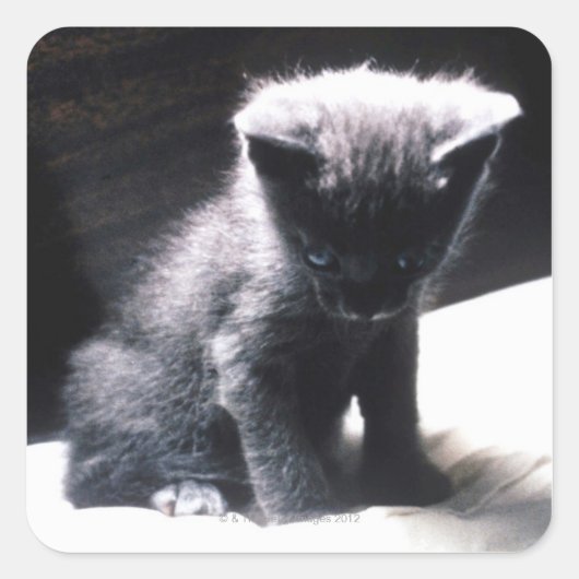 24117556 スクエアシール (正面)