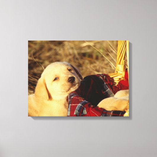 24117967 キャンバスプリント (正面)