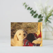 24117967 ポストカード (スタンド正面)