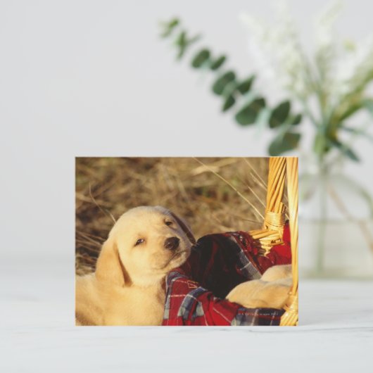 24117967 ポストカード (スタンド正面)