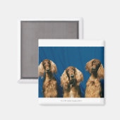 24119671 マグネット (正面/裏面)