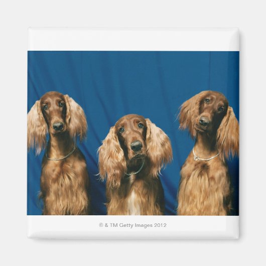 24119671 マグネット (正面)