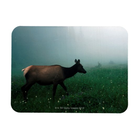 24121885 マグネット (横)