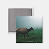 24121885 マグネット (正面/裏面)