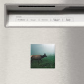 24121885 マグネット (インサイチュ (食洗機))