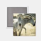 24123844 マグネット (正面/裏面)