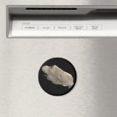 243井田(A884 SB) マグネット (インサイチュ (食洗機))