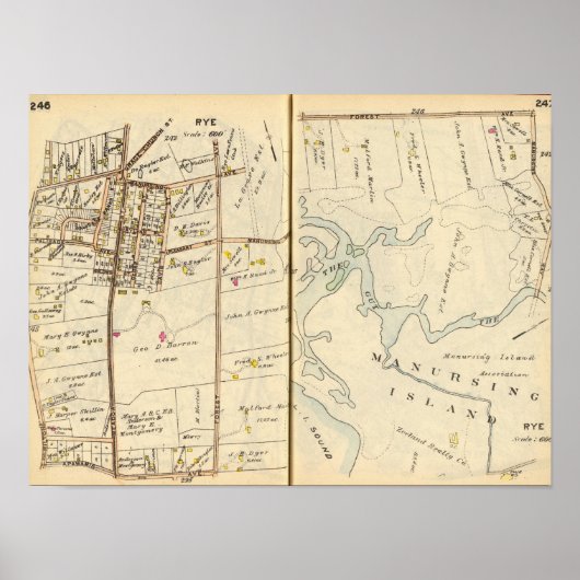 246247ライ麦 ポスター (正面)