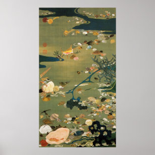 海 貝ポスター プリント Zazzle Co Jp 海 貝ポスター プリント Zazzle Co Jp