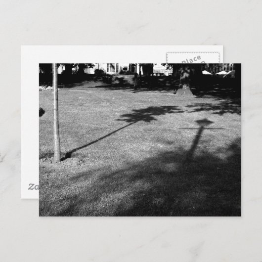 24.木と街灯は友だちだった。 ポストカード (正面/裏面)