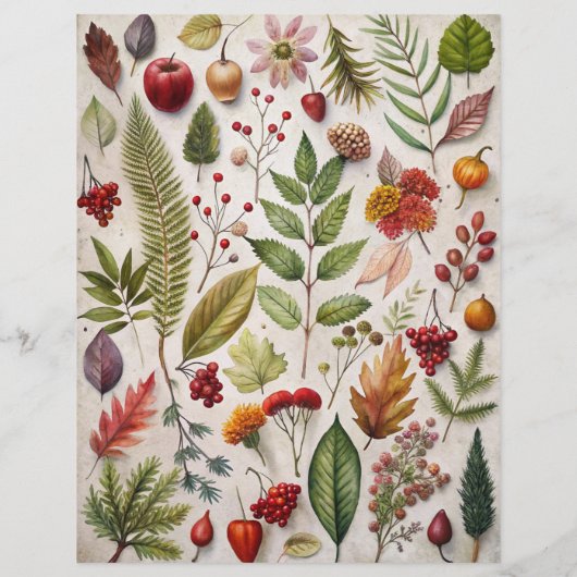 24 Forest Animal Squares for Junk Journaling Etc. (裏面)