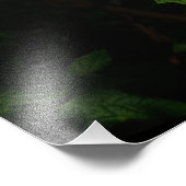 24"x36" Oakleaf Hydrangea フォトプリント (角)