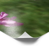 24"x36" Redbud フォトプリント (角)