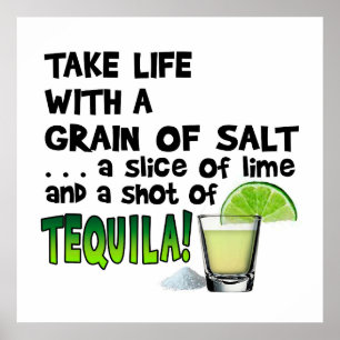 24" X 24" POSTER - LIFE, LIME, SALT, TEQUILA! ポスター