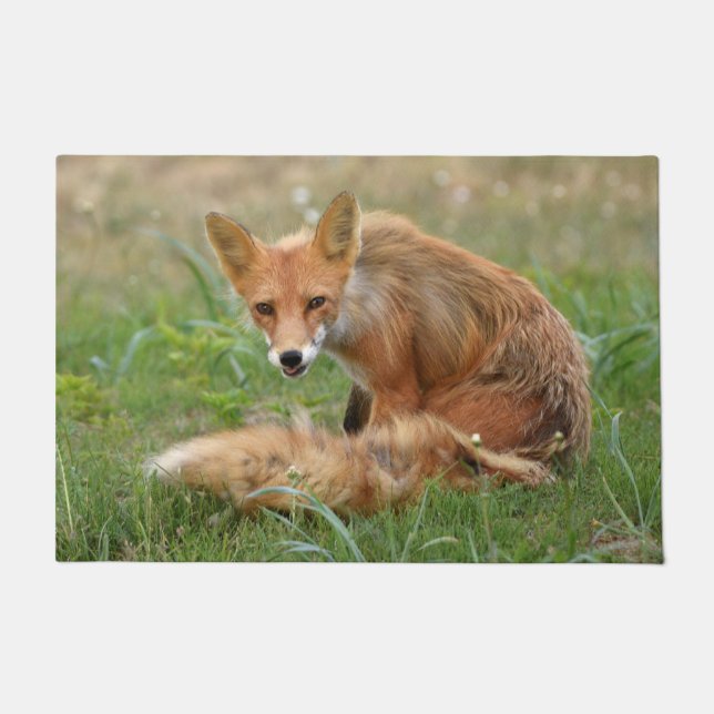 24" x 36"ドアマット（フォックス） ドアマット (正面)