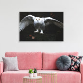 24x16 (60x40cm)のバクnmを持つスノーフクロウ キャンバスプリント (インサイチュ (リビング))