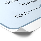 24x18イヌ解剖学 ポスター (角)