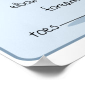 24x18 Canine Anatomy ポスター (角)