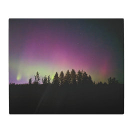 24x20メタルウォールアート メタルプリント