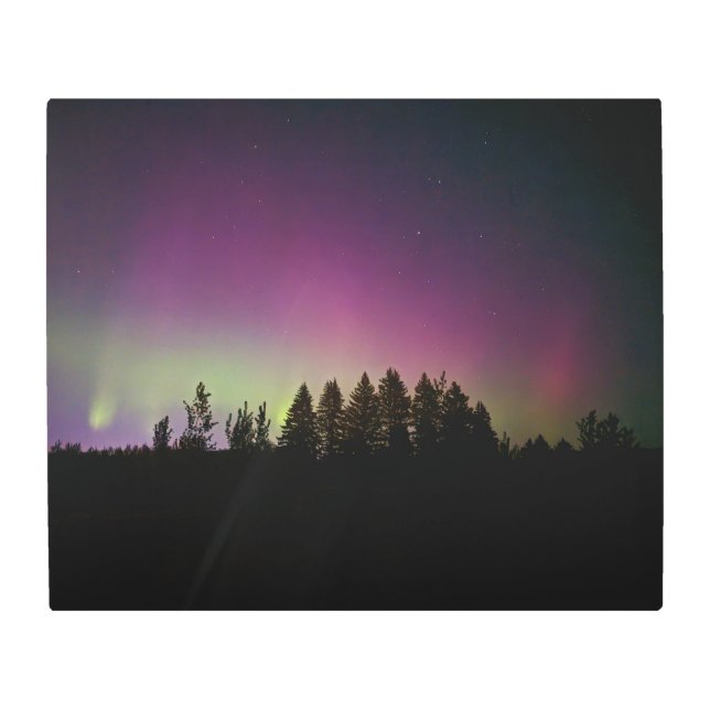 24x20メタルウォールアート メタルプリント (正面)