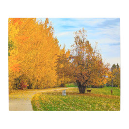 24x20メタルウォールアート メタルプリント