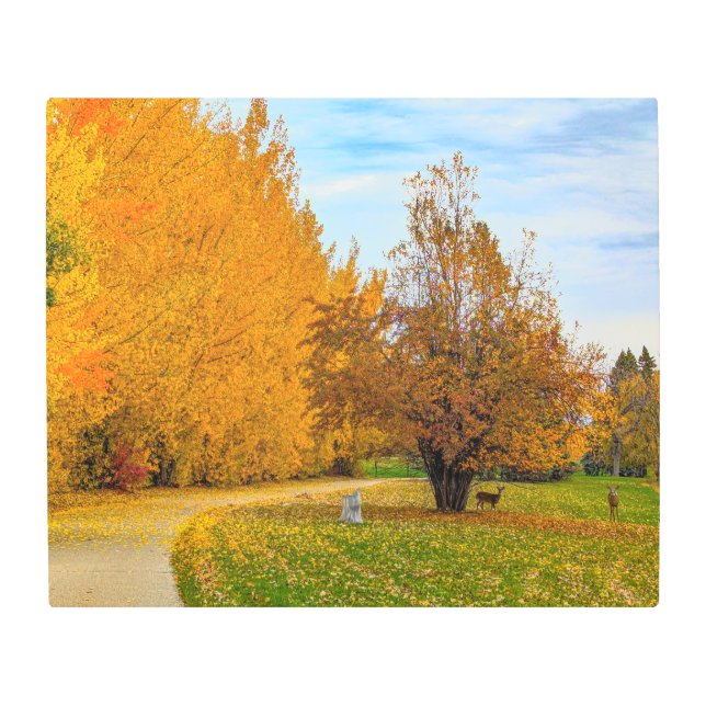 24x20メタルウォールアート メタルプリント (正面)