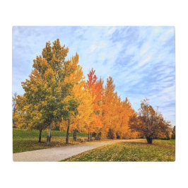 24x20メタルウォールアート メタルプリント