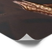 24x24ポスター ポスター (角)