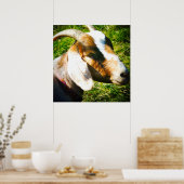 24x24マットポスター。ヤギ。パーソナライズ！ ポスター (キッチン)