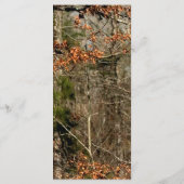 25メニューカード狩りディアカップルdoeバック迷彩柄 メニュー (裏面)