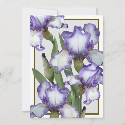 25周年結婚招待状 セーブザデート (裏面)