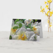 25周年結婚記念日 おめでとうございます カード (黄色い花)