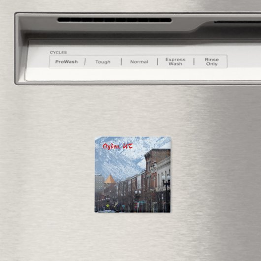 25通りオグデン マグネット (インサイチュ (食洗機))