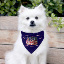 250周年米国愛国旗紙