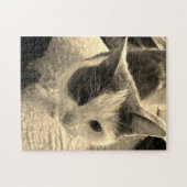 252ピースパズル ジグソーパズル (横)