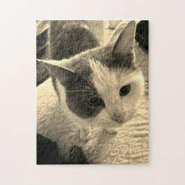 252ピースパズル ジグソーパズル